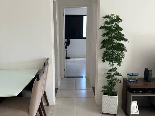 Apartamento para Venda em Salvador - 4